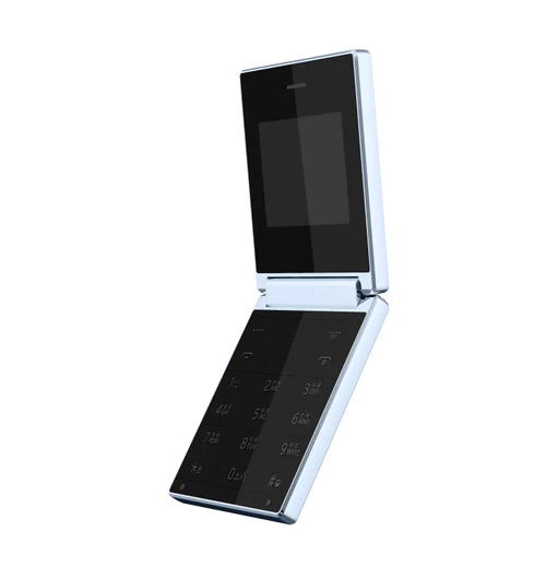FLIP   1